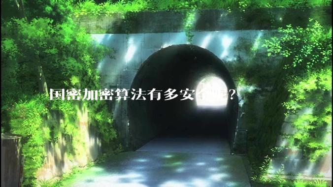 国密加密算法有多安全呢？