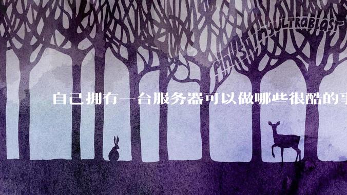 自己拥有一台服务器可以做哪些很酷的事情？