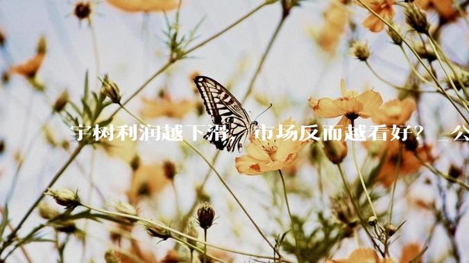 宇树利润越下滑，市场反而越看好？_公司_费用_春晚