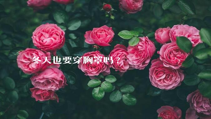 冬天也要穿胸罩吗?