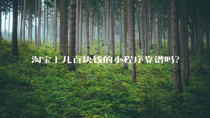 淘宝上几百块钱的小程序靠谱吗？