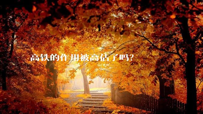 高铁的作用被高估了吗？